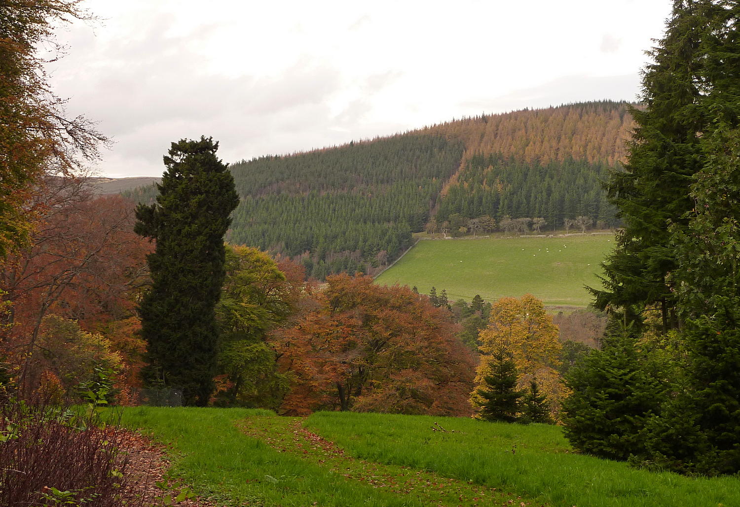 View out of Garden to surrounding hills